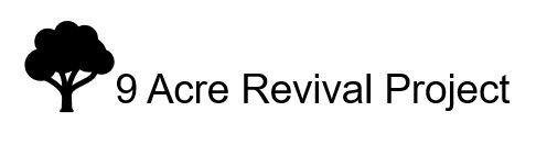 9 acre revival logo