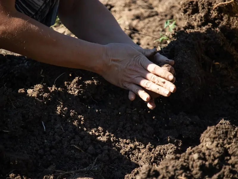 land stewardship