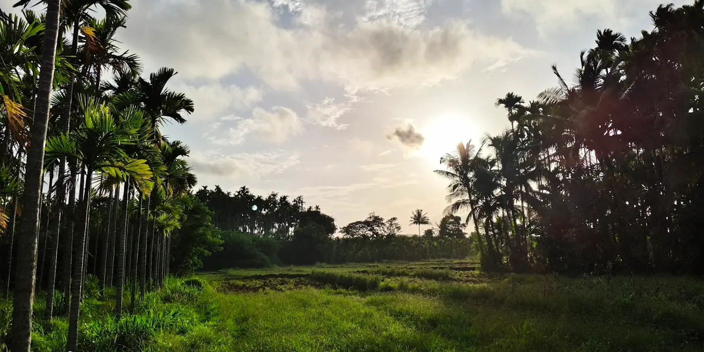 The Land